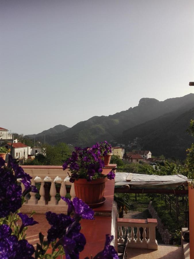 Antica Casa Cavaliere Villa Tramonti Luaran gambar